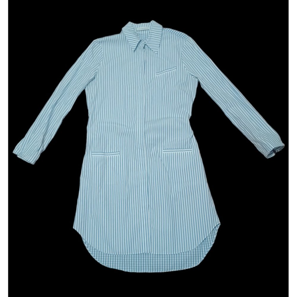 JW Anderson Long Sleeve Blue White Gingham Plaid Boyfriend Shirt Knee Dress 4